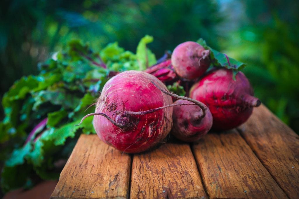 Remolachas ('Beta vulgaris') cosechadas