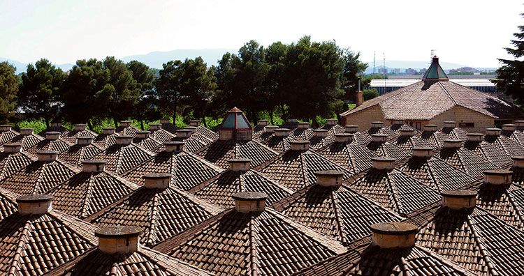 Bodegas Olarra