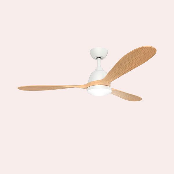 Un ventilador de techo
