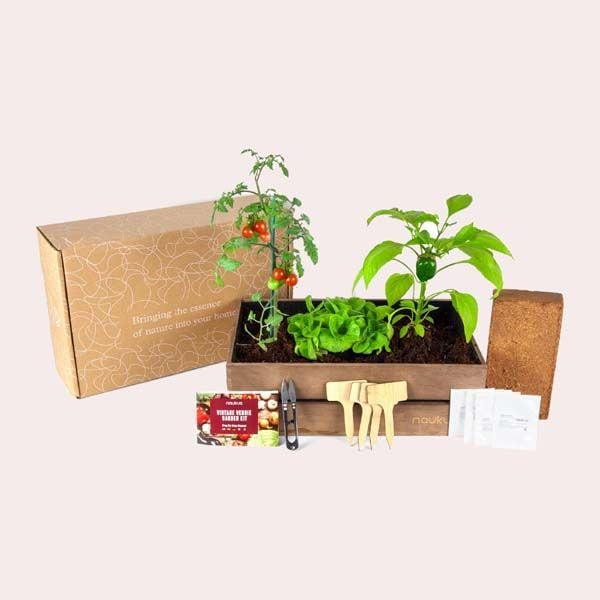 mini huerto exterior caja madera amazon