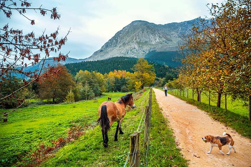 Vía verde de Arrazola con el monte Anboto de fondo, Vizcaya