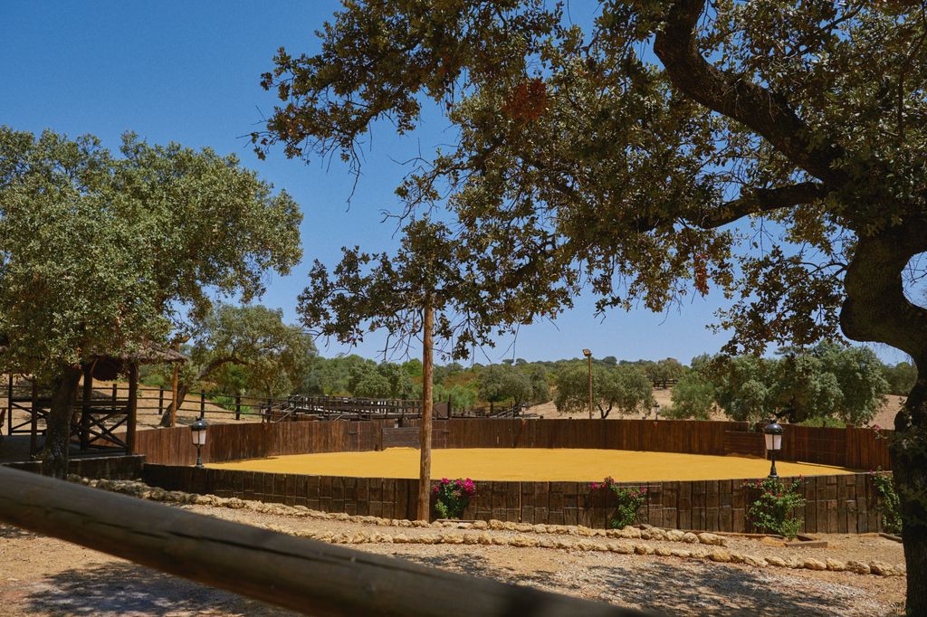Roca Rey tiene una plaza de toros para entrenar dentro de su finca sevillana