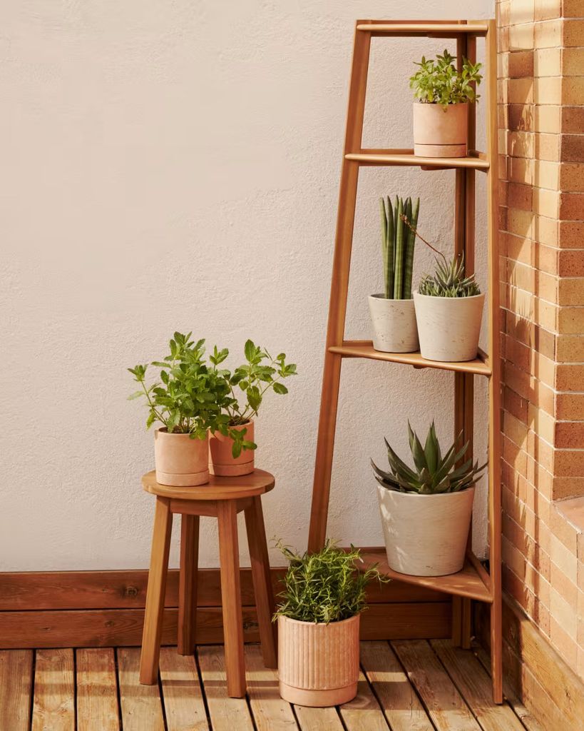 Plantas en una estantería