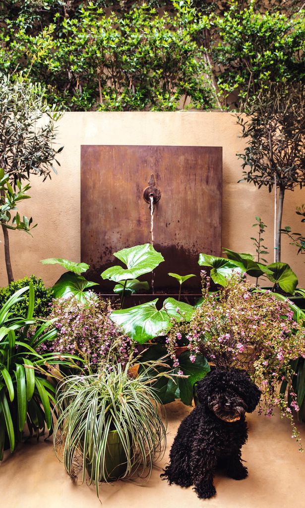 Casa Amelia Platón LIVING 30