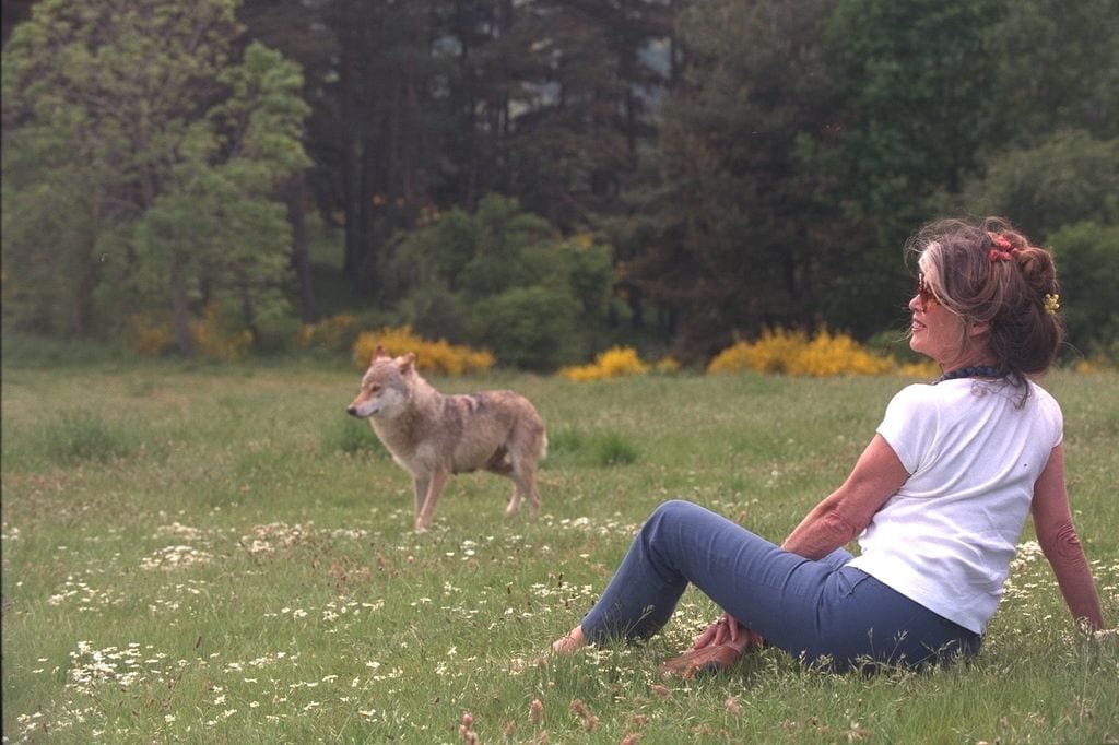 Brigitte Bardot es tambiepn una dedicada activista por la protección de los animales.