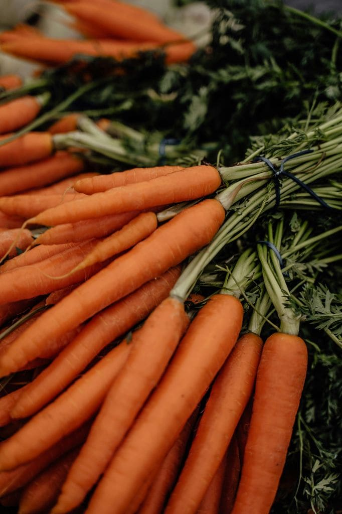 Una buena opción de cultivo fácil es la zanahoria ('Daucus carota'), considerada un superalimento