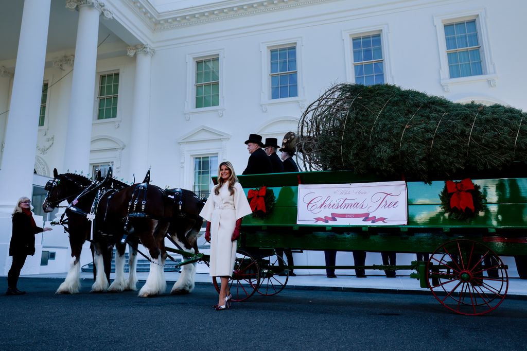 WASHINGTON, DC - NOVEMBER 24: First lady Melania Trump welcomes the official 2025 White House Christmas Tree outside the North Portico of the White House on November 24, 2025 in Washington, DC. Named the National Christmas Tree Associationâs 2025 Grand Champions, Rex and Jessica Korson, of Korsonâs Tree Farms, grew the tree on their second-generation evergreen farm in Sidney, Michigan. (Photo by Heather Diehl/Getty Images)