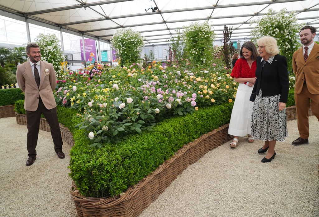 Instalación de la muestra de rosas en el Chelsea Flower Show