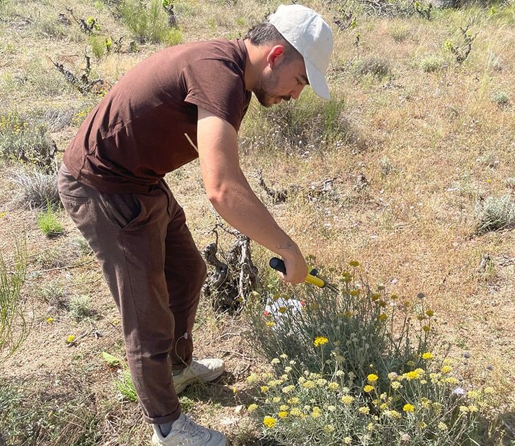Carlos recolectando hierbas 