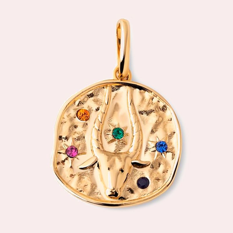 SINGULARU - Charm Organic Colors Zodiaco