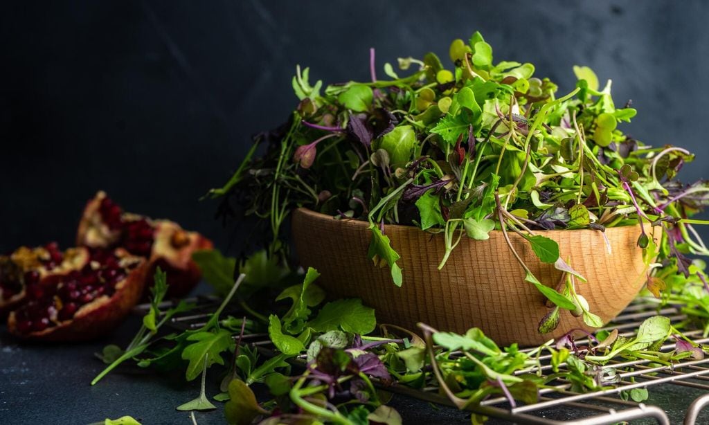 siete alimentos que debes consumir para tener una melena sana