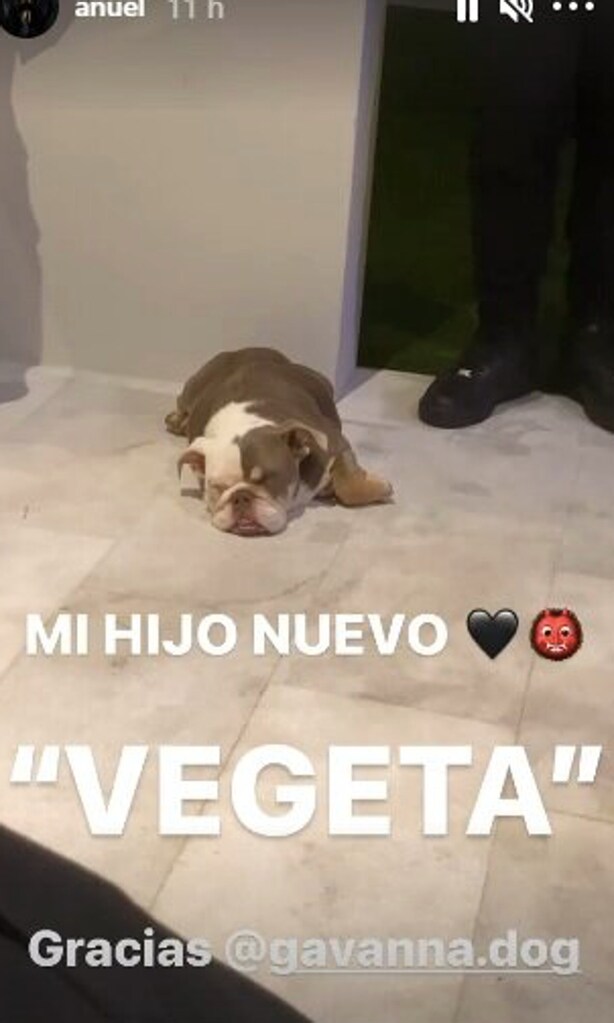 Nuevo amigo de Anuel AA