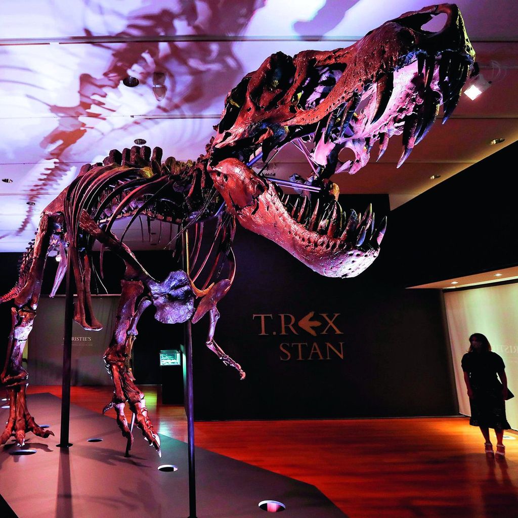 SUBASTA DINOSAURIO