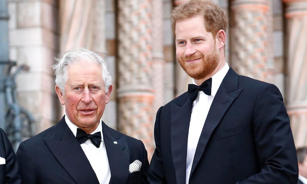 what prince harry had to say about visiting dad king charles