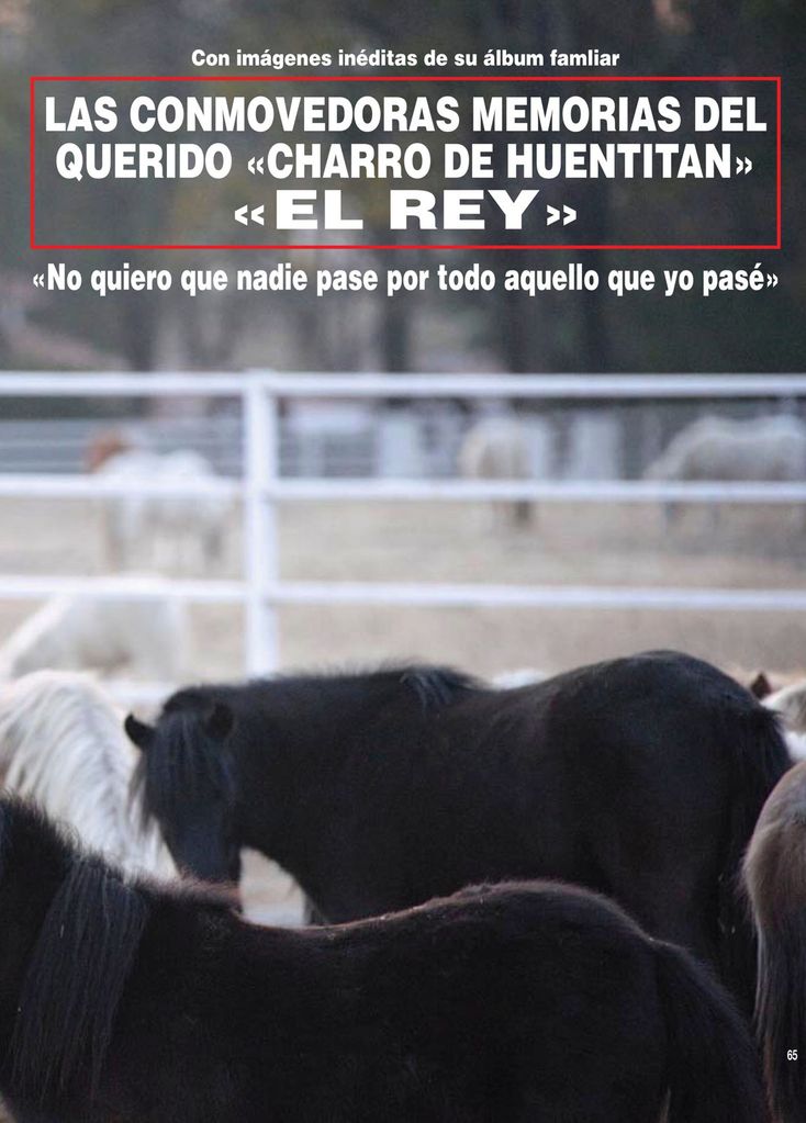 Vicente Fernández HOLA PLUS
