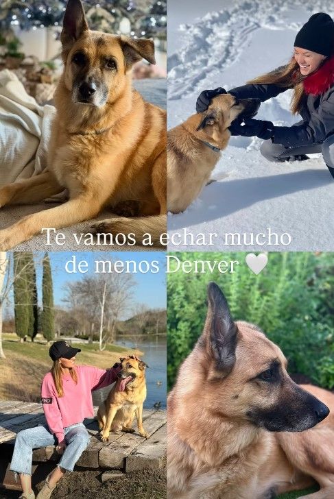 Helen Lindes se despide de su mascota con un conmovedor mensaje