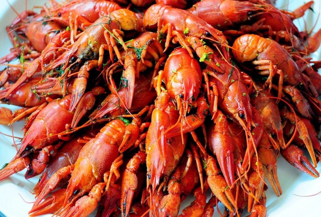 Cangrejos de río