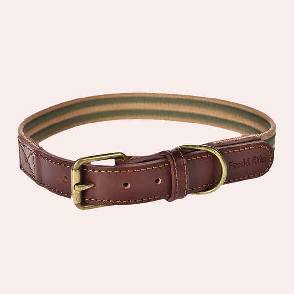 Collar Fred & Rita para perros Boston