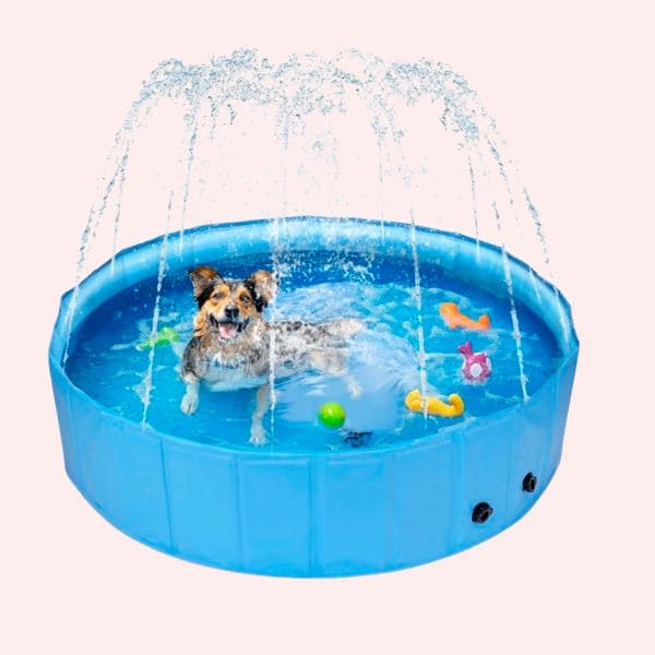 Nobleza Piscina Perros Grandes y Pequeños