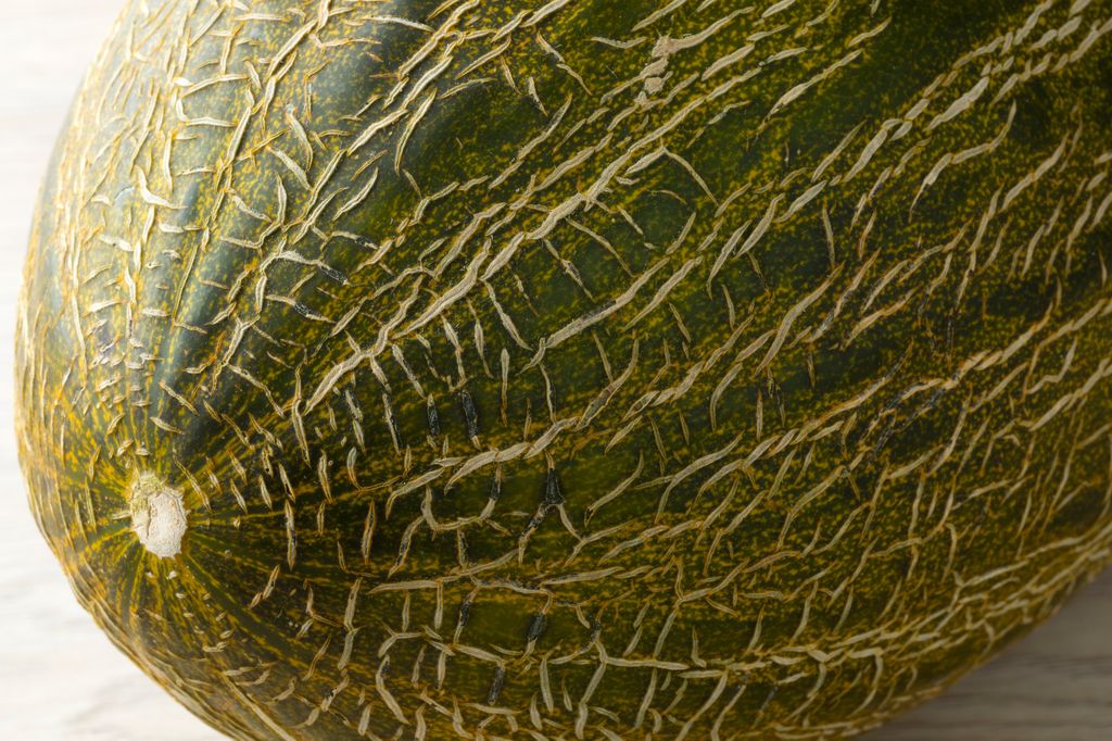 Melón de piel de sapo