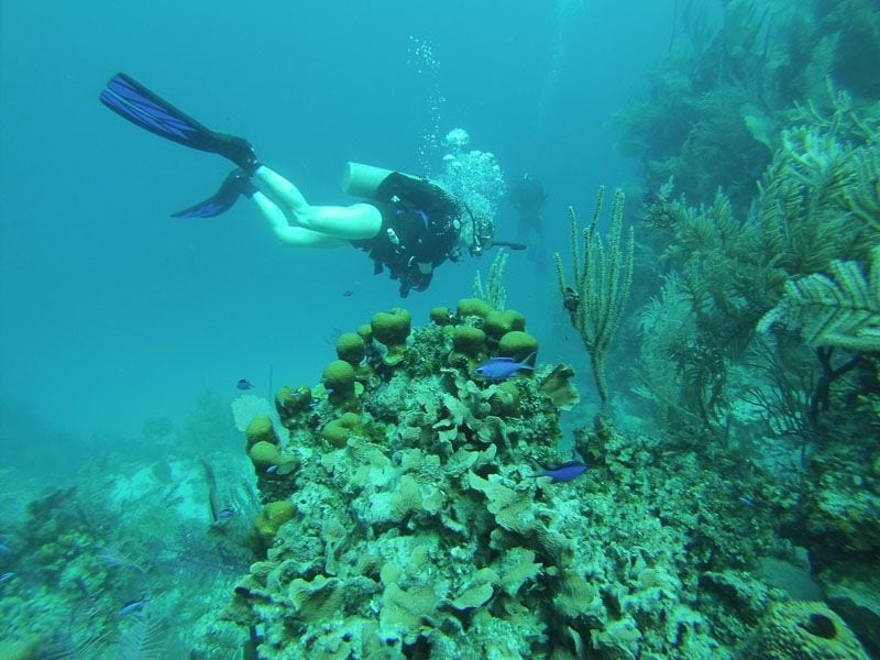 islas-de-la-bahia-submarinismo