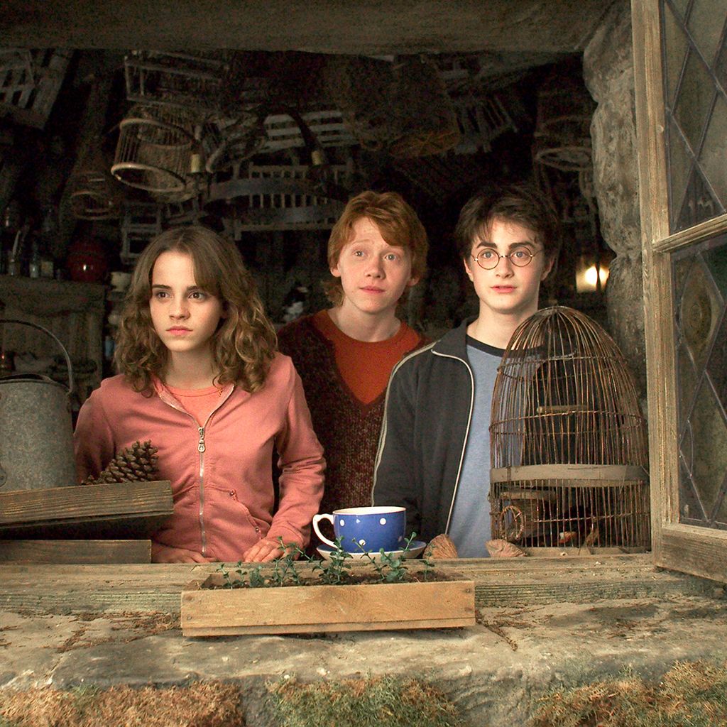 Hermione, Ron y Harry 