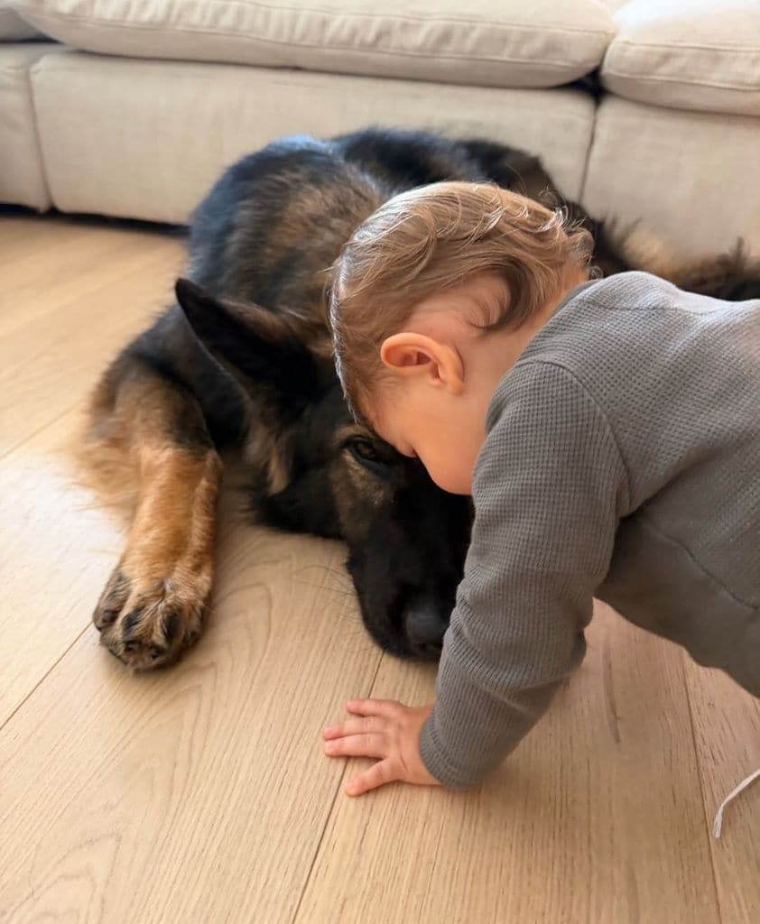 El bebé de Gisele Bündchen junto a su mascota