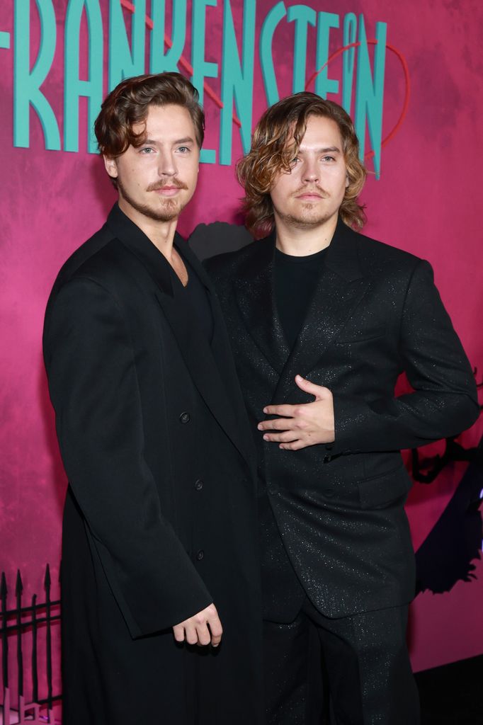 Dylan y Cole Sprouse se convirtieron en dos de las estrellas infantiles más populares de Disney gracias a Hotel, dulce hotel: Las aventuras de Zack y Cody
