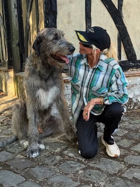 Murphy, el lobero irlandés de Sting y Trudie Styler, ganó dos de los premios más codiciados en el concurso canino más prestigioso del mundo 