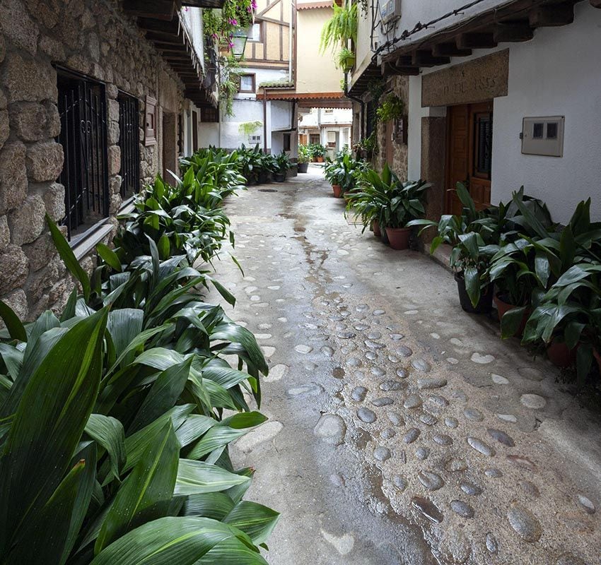 Villanueva de la Vera, Cáceres