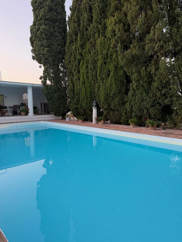 la piscina en la finca de las hermanas Osborne