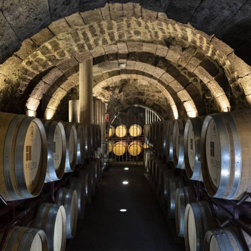 Cueva de barricas en Bodegas Pastrana.