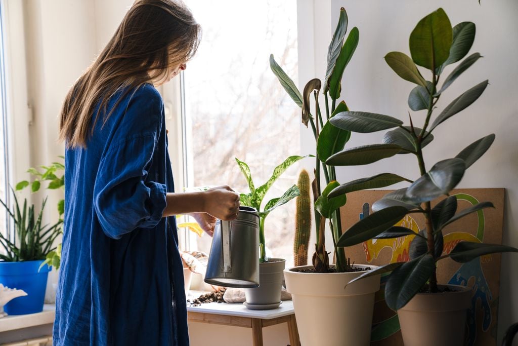 Mujer regando las plantas.