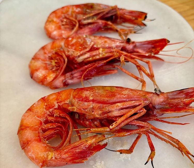 gambas-susana