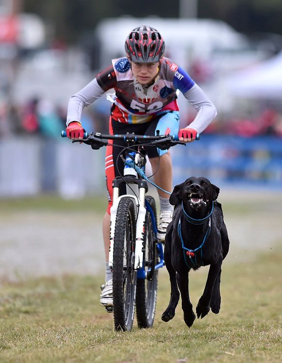 bikejoring