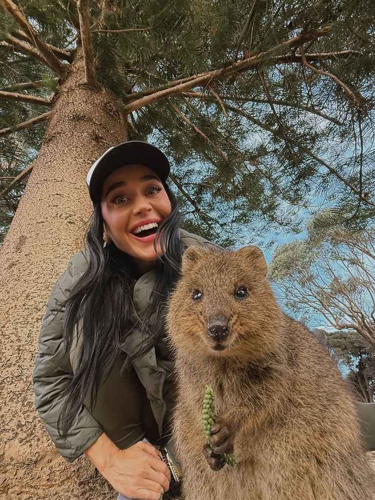 Katy Perry posó muy feliz con un quokka