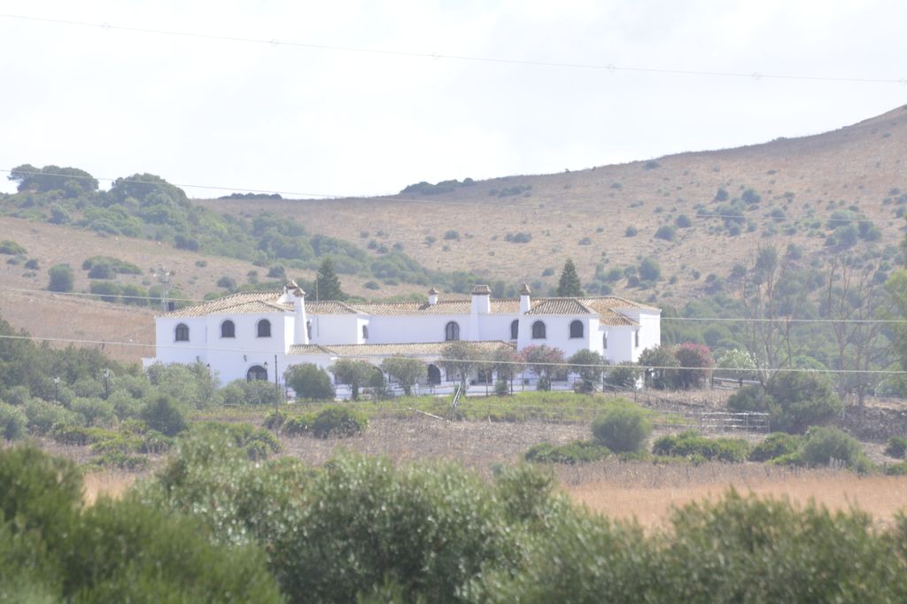 Media Image