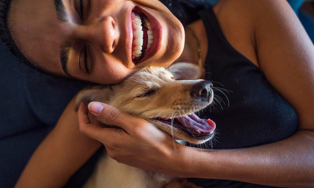 La clave de la felicidad es tener una mascota en tu vida