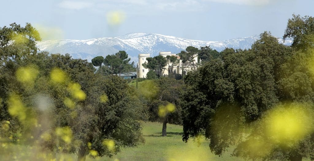 Castillo de Viñuelas