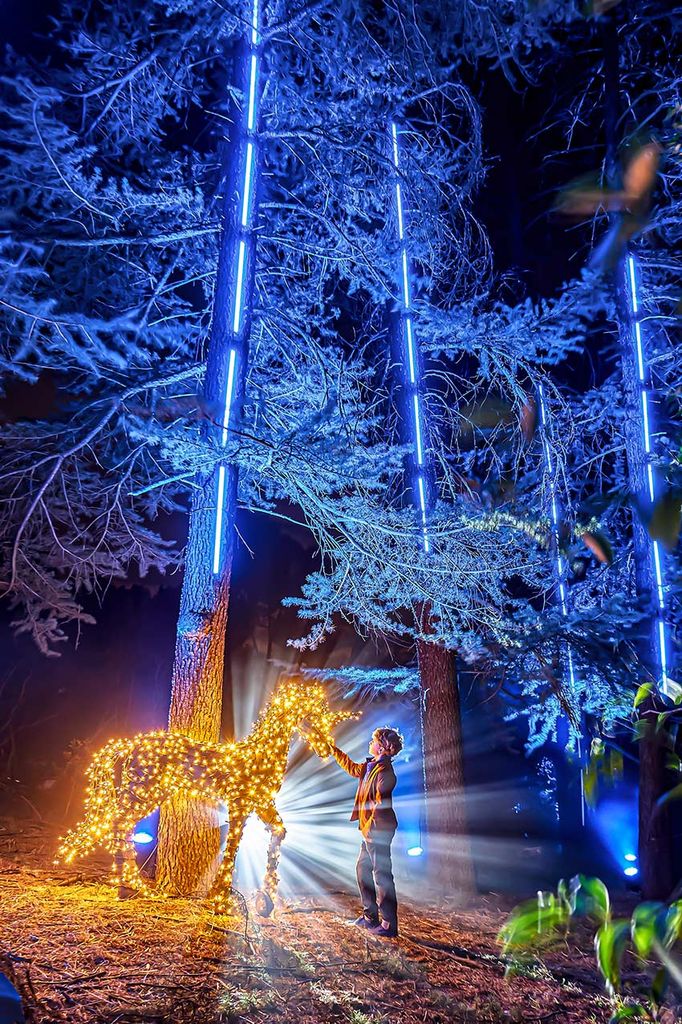 Naturaleza-Encendida_jardin-botanico-madrid