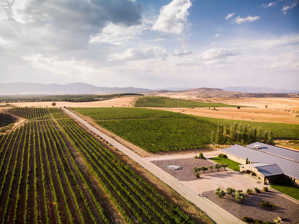 Bodega y Finca Río Negro en Cogolludo (Guadalajara)