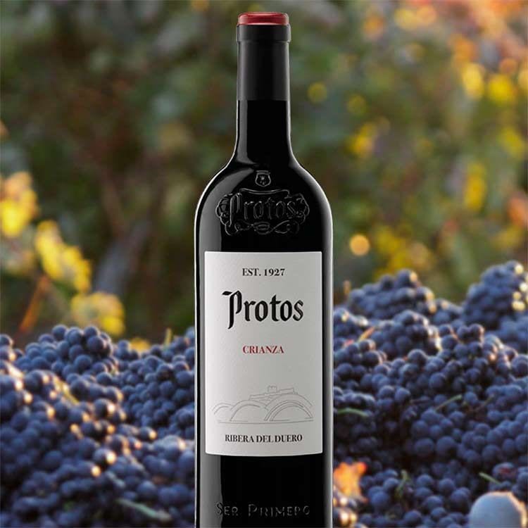 protos-crianza