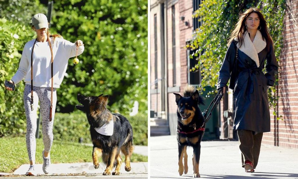 LAP_BGUS_2801584_017_Gisele_Bundchen-Collage-U05482524887RYu