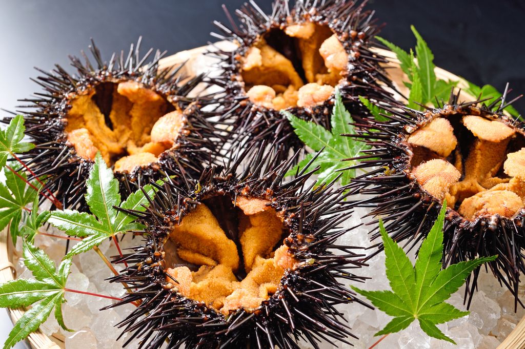 Los erizos, oricios en Asturias, es uno de los platos favoritos de la princesa Leonor.