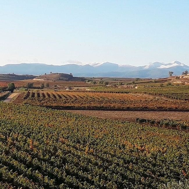 bodega Beronia