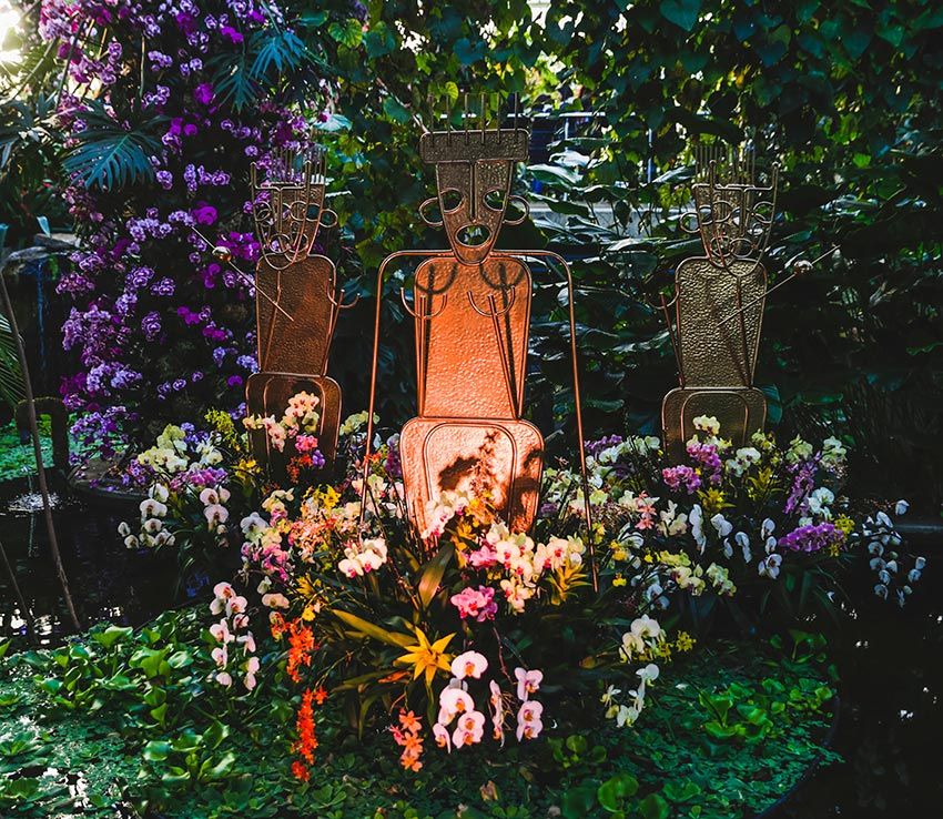 festival-orquideas