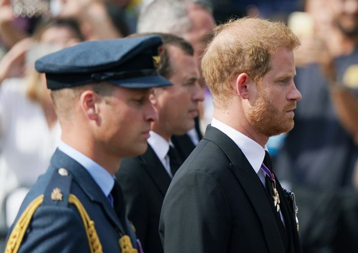 principe harry en el cortejo fúnebre con guillermo