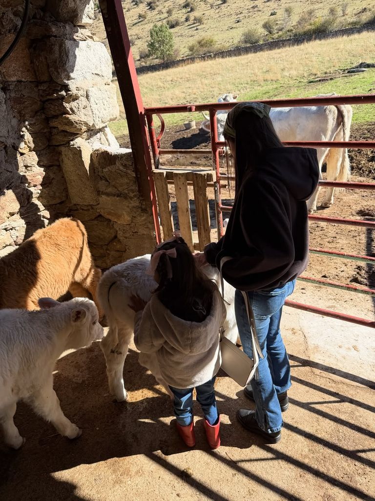David Bisbal y Rosanna Zanetti celebran el quinto cumpleaños de su hija Bianca al más puro estilo de Yellowstone 