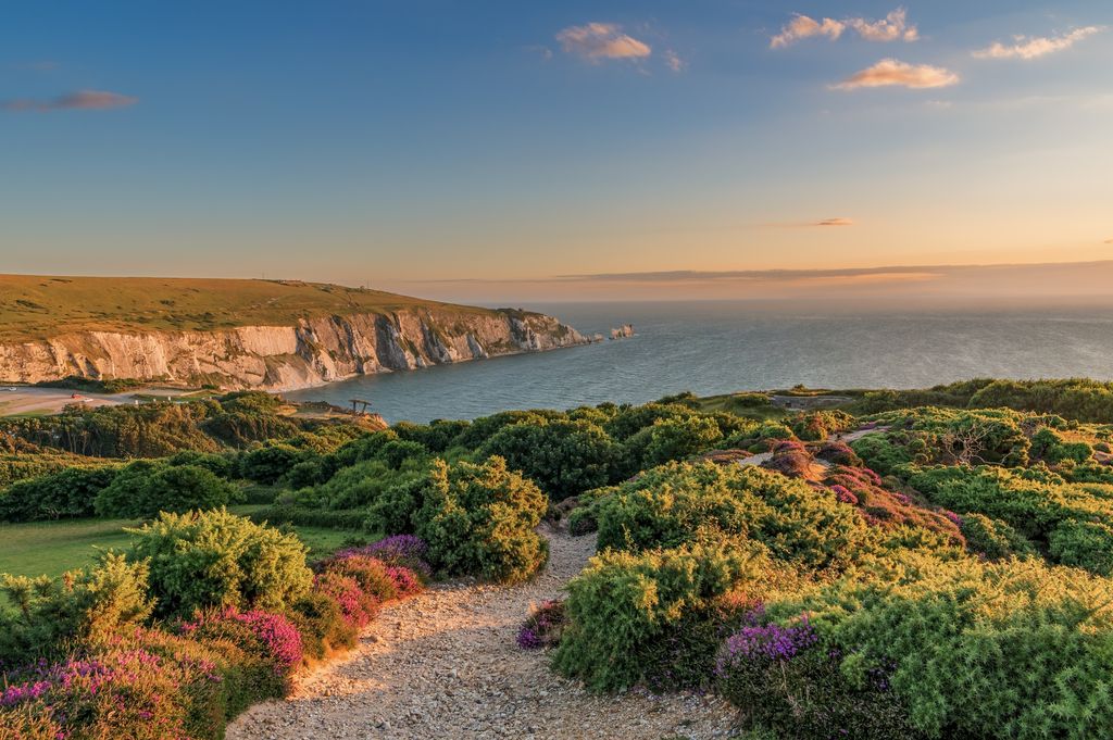Headon Warren, con vistas sobre Alum Bay, isla de Wight, Inglaterra, Reino Unido