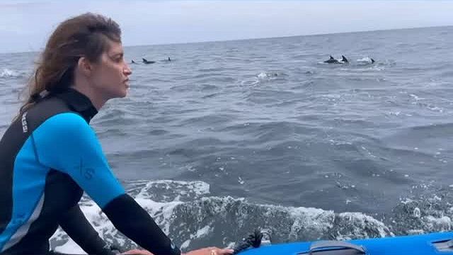 Sara Carbonero, entre delfines en las islas Galápagos